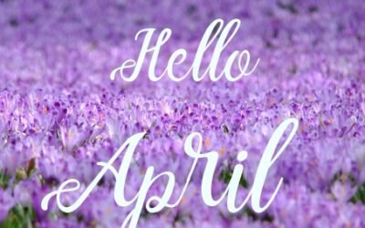 Monthly Theme Release