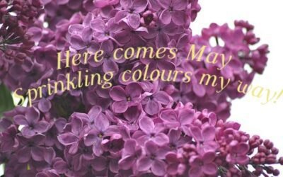 Theme reveal for the month of May