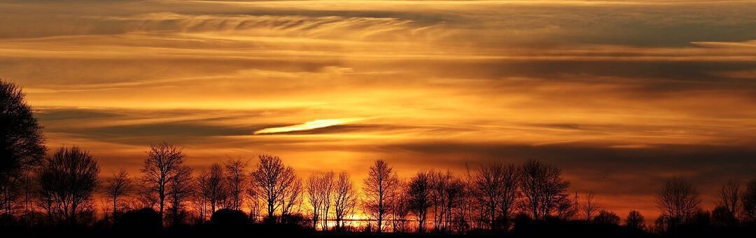 Poem: Moments of Gratitude