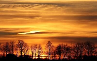 Poem: Moments of Gratitude