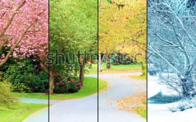 Haiku: Seasons