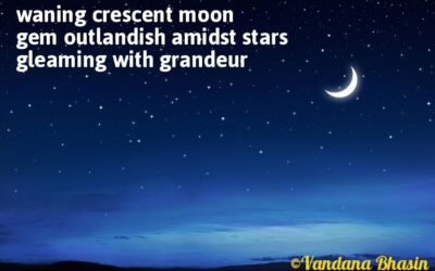 Haiku: Gem of Night Sky