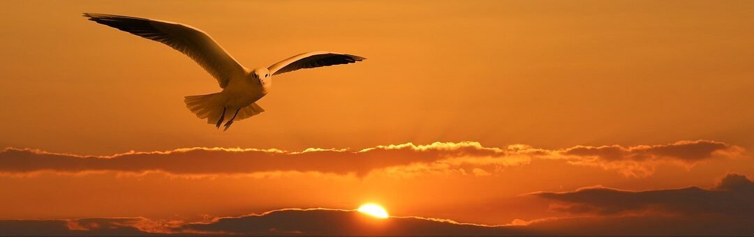 Poem: Beginnings