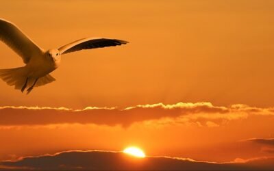 Poem: Beginnings