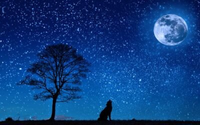 Haiku: Moonbeam