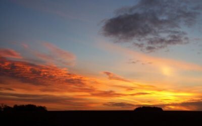 Daybreak