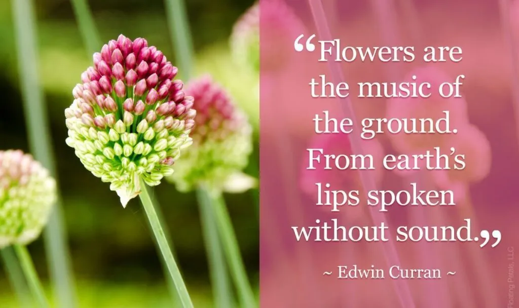 Quote_Flowers
