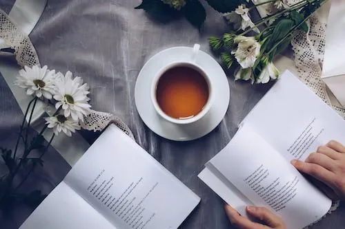 NaPoWriMo Day 30: Celebrating Poetry
