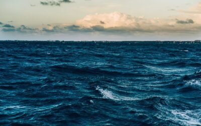 NaPoWriMo Day 17: A Sea of Emotions