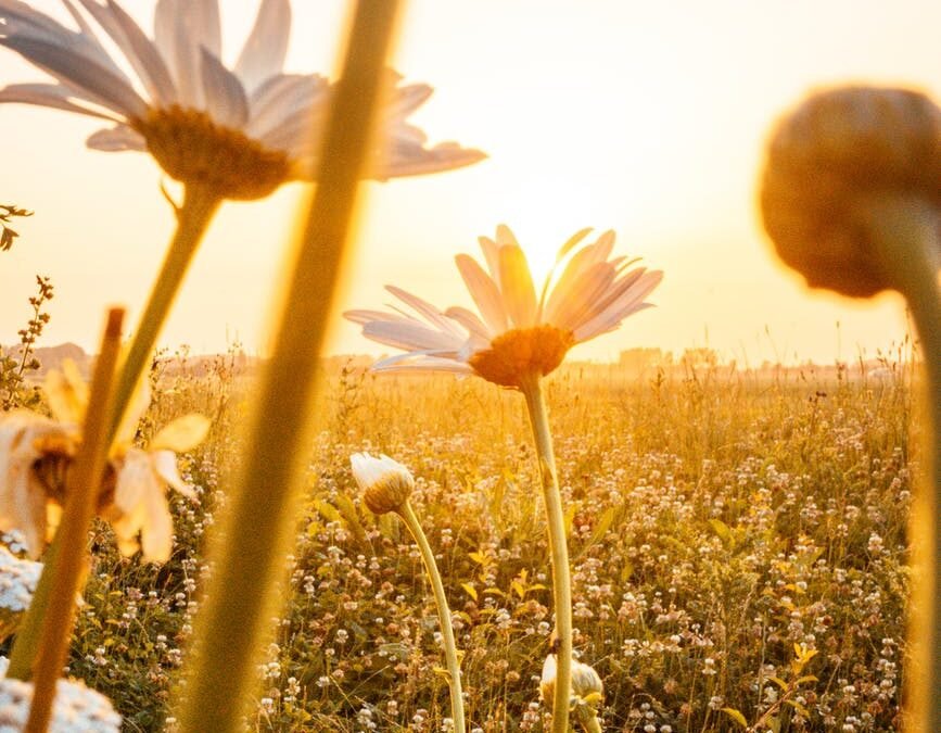 NaPoWriMo Day 14: Haiku: Mighty Sun