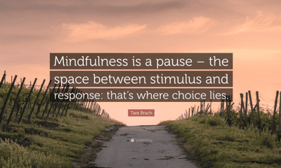 NaPoWriMo Day 16 Poem: And I Pause for a While