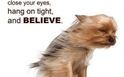 NaPoWriMo Day 26 Poem: Change… A Way of Life