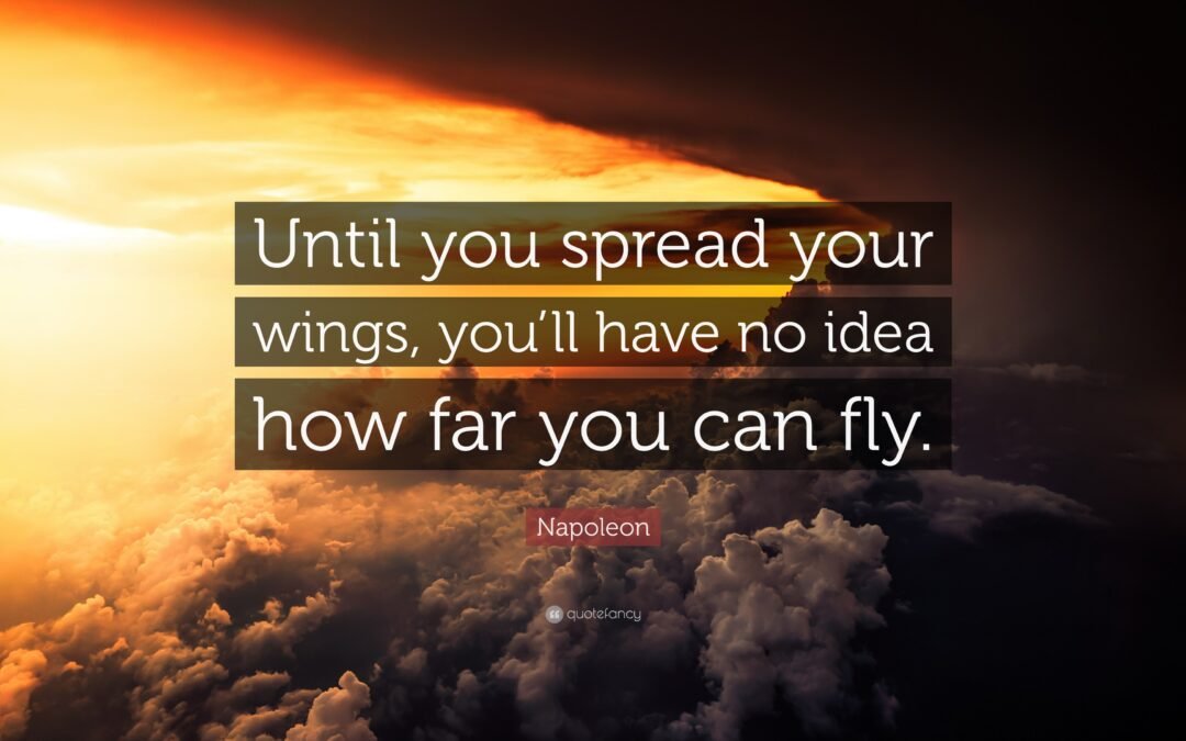 NaPoWriMo Day 5 Poem: Have You Seen My Wings?  