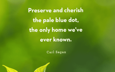 NaPoWriMo Day 22 Poem: We Take a Pledge